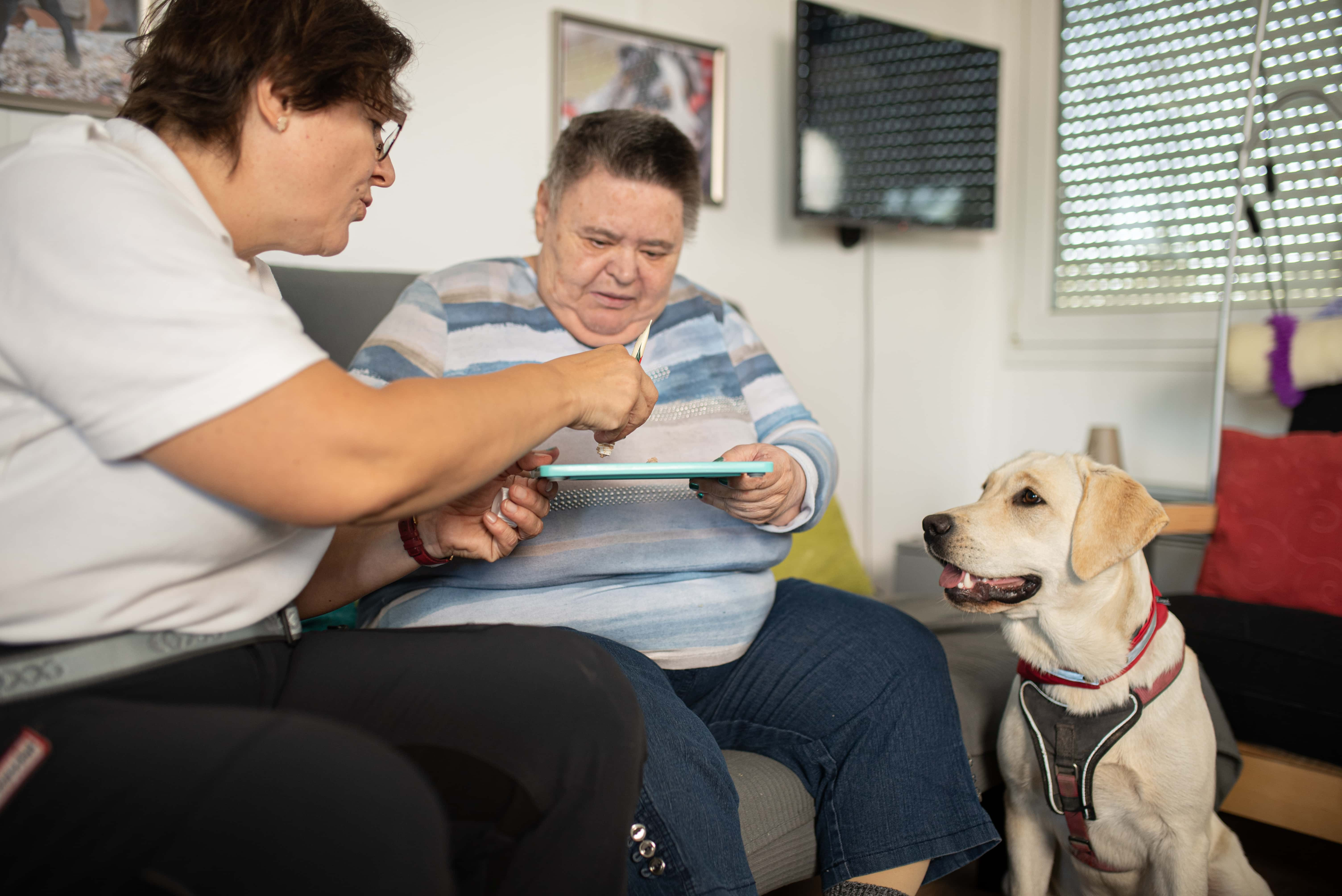 Therapiebegleithunde Niederösterreich